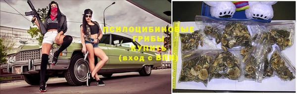 гашик Абаза