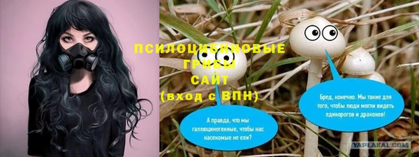 гашик Абаза