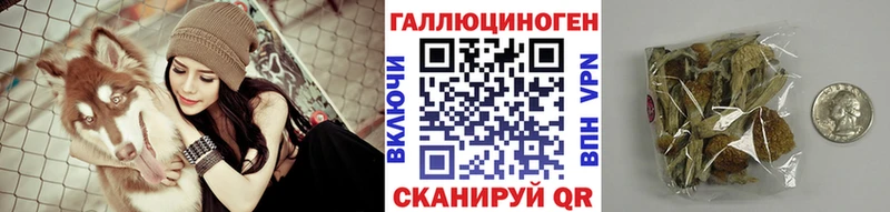 где можно купить наркотик  Кириллов  Псилоцибиновые грибы Cubensis 